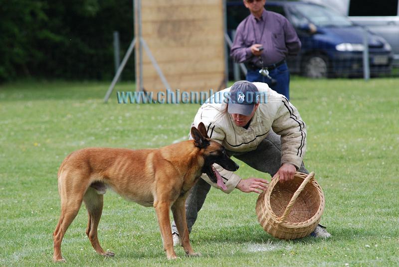 SELECTIF BEAUVAIS 2009 324.jpg